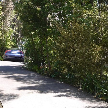 Bay Of Islands Holiday Apartments Paihia Rom bilde