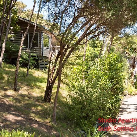 Bay Of Islands Holiday Apartments Paihia Rom bilde