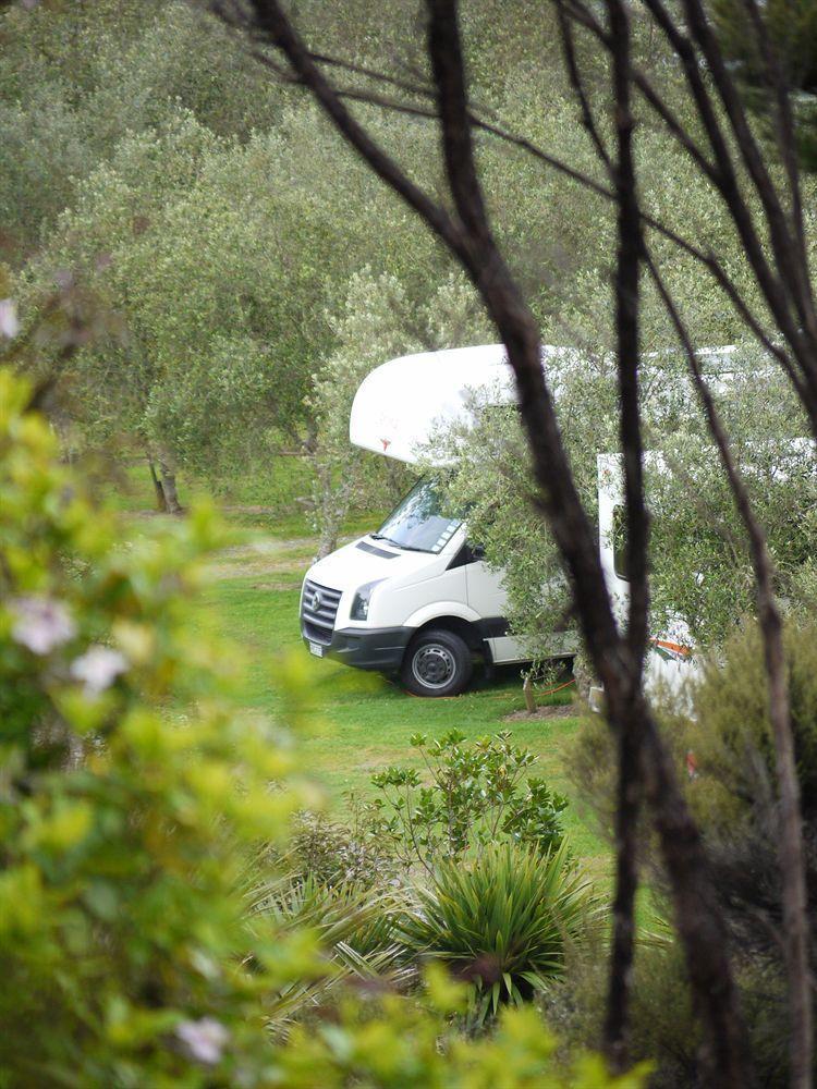 Bay Of Islands Holiday Apartments Paihia Eksteriør bilde