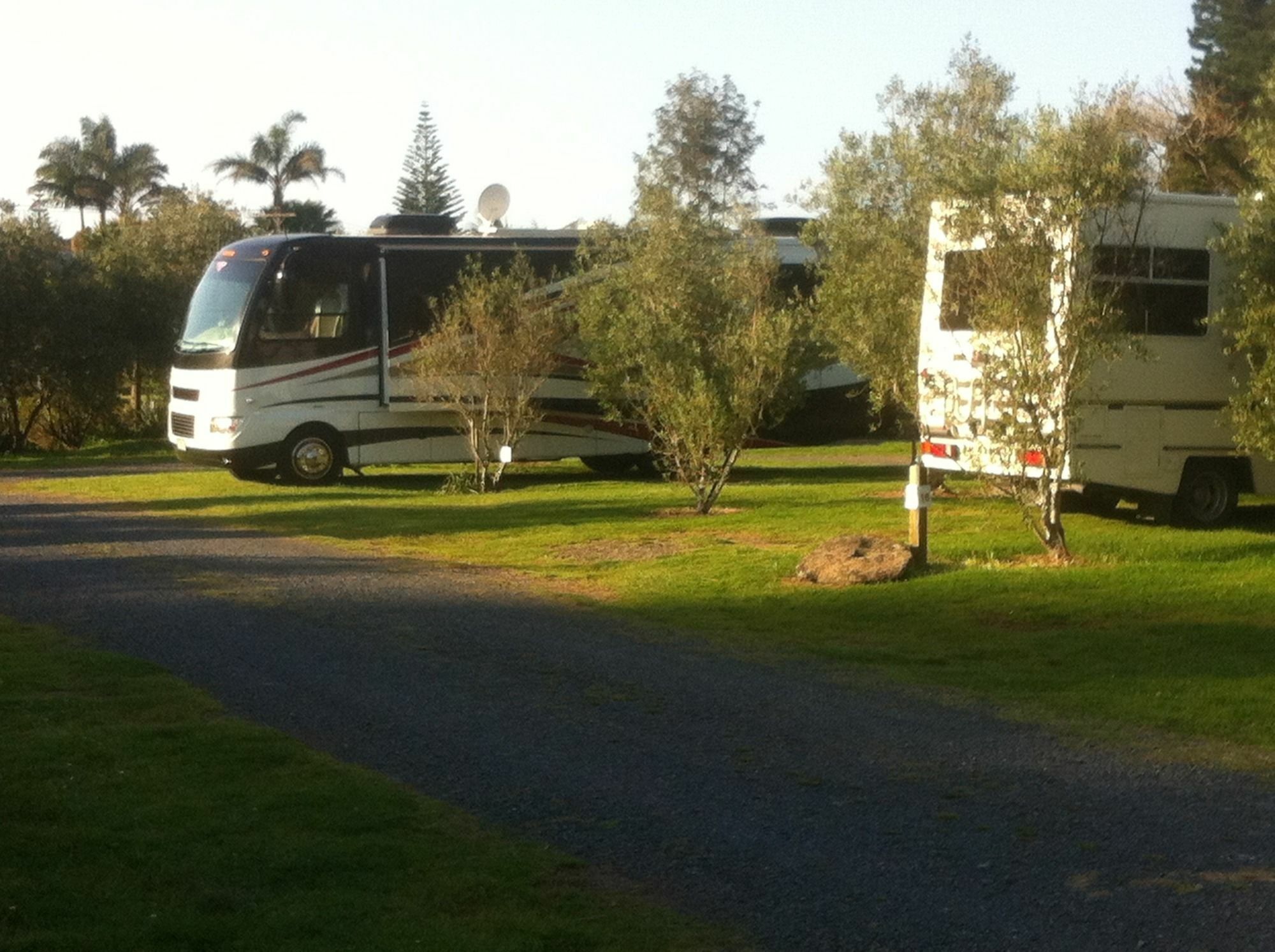 Bay Of Islands Holiday Apartments Paihia Eksteriør bilde